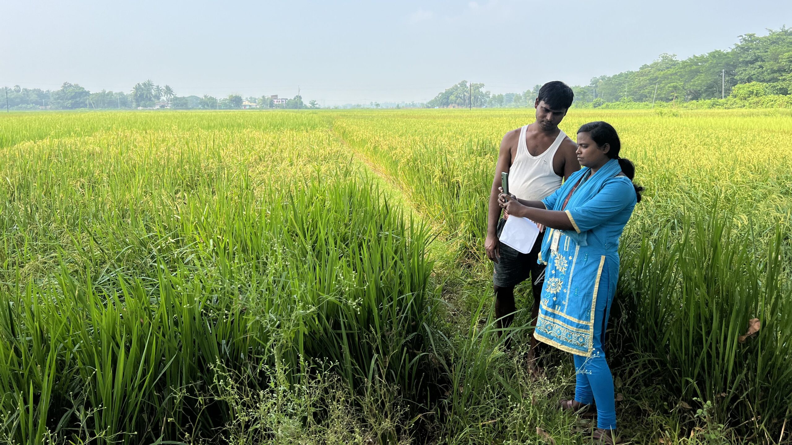 Man and woman standing in field; woman holds up smartphone to shoot picture