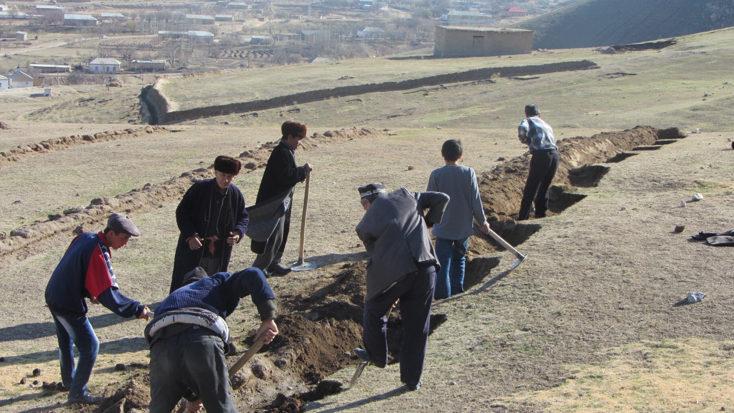 Seven men lined up on either side of trench digging