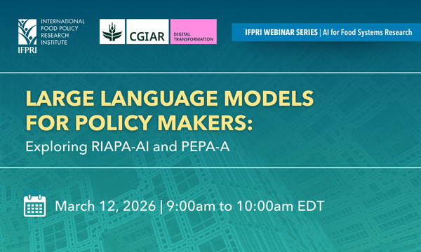 Large Language Models for Policy Makers: Exploring RIAPA-AI and PEPA-AI