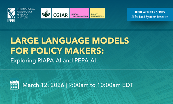 Large Language Models for Policy Makers: Exploring RIAPA-AI and PEPA-AI