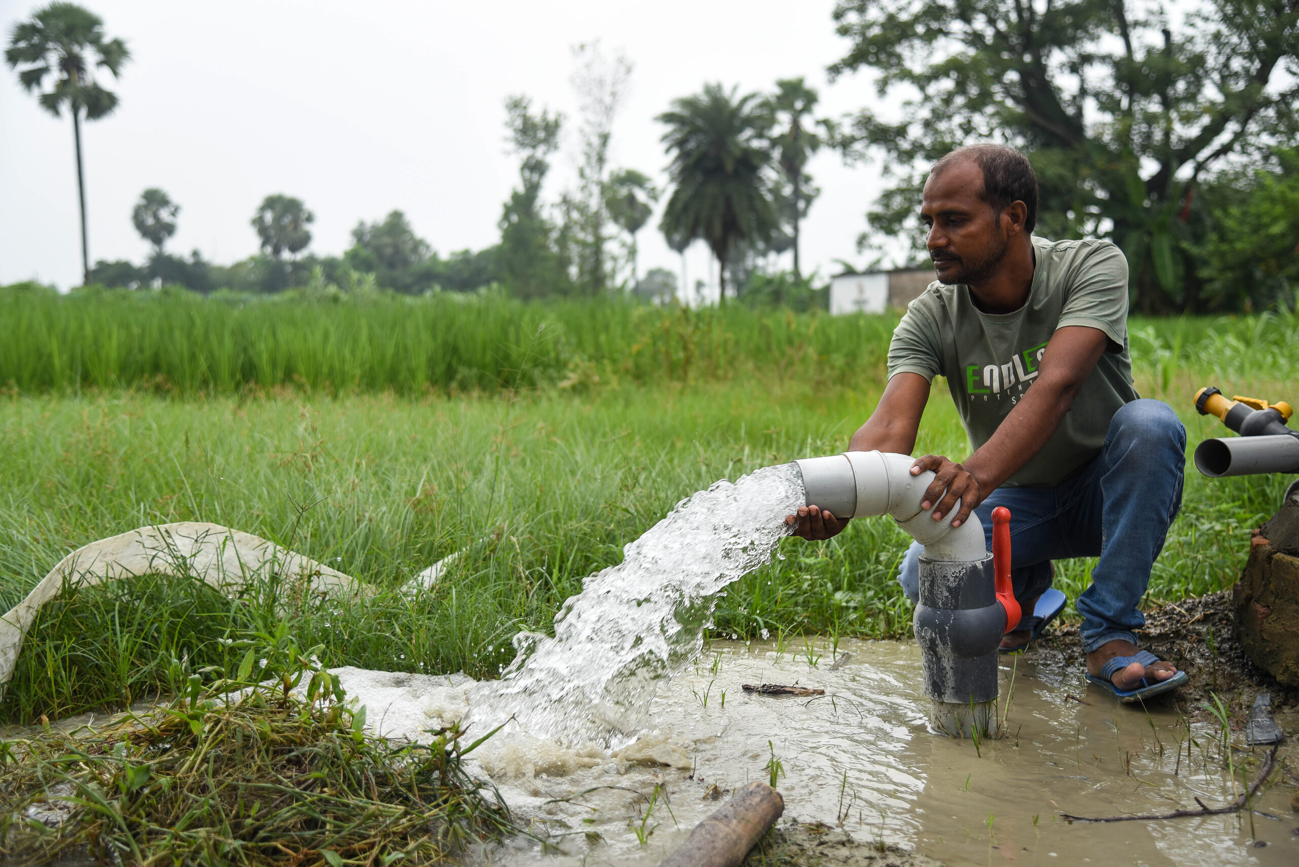 Irrigation as a Service for Small-Scale Producers: Advancing Equity and Women’s Empowerment