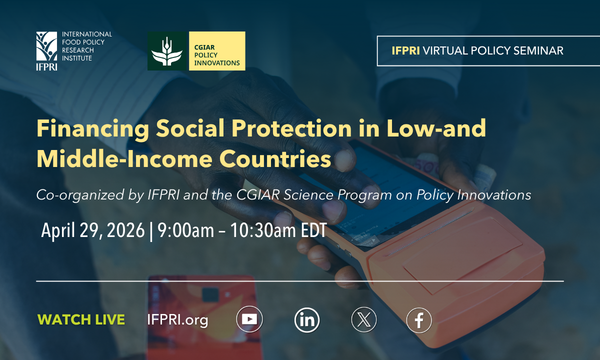Financing Social Protection in Low- and Middle-Income Countries