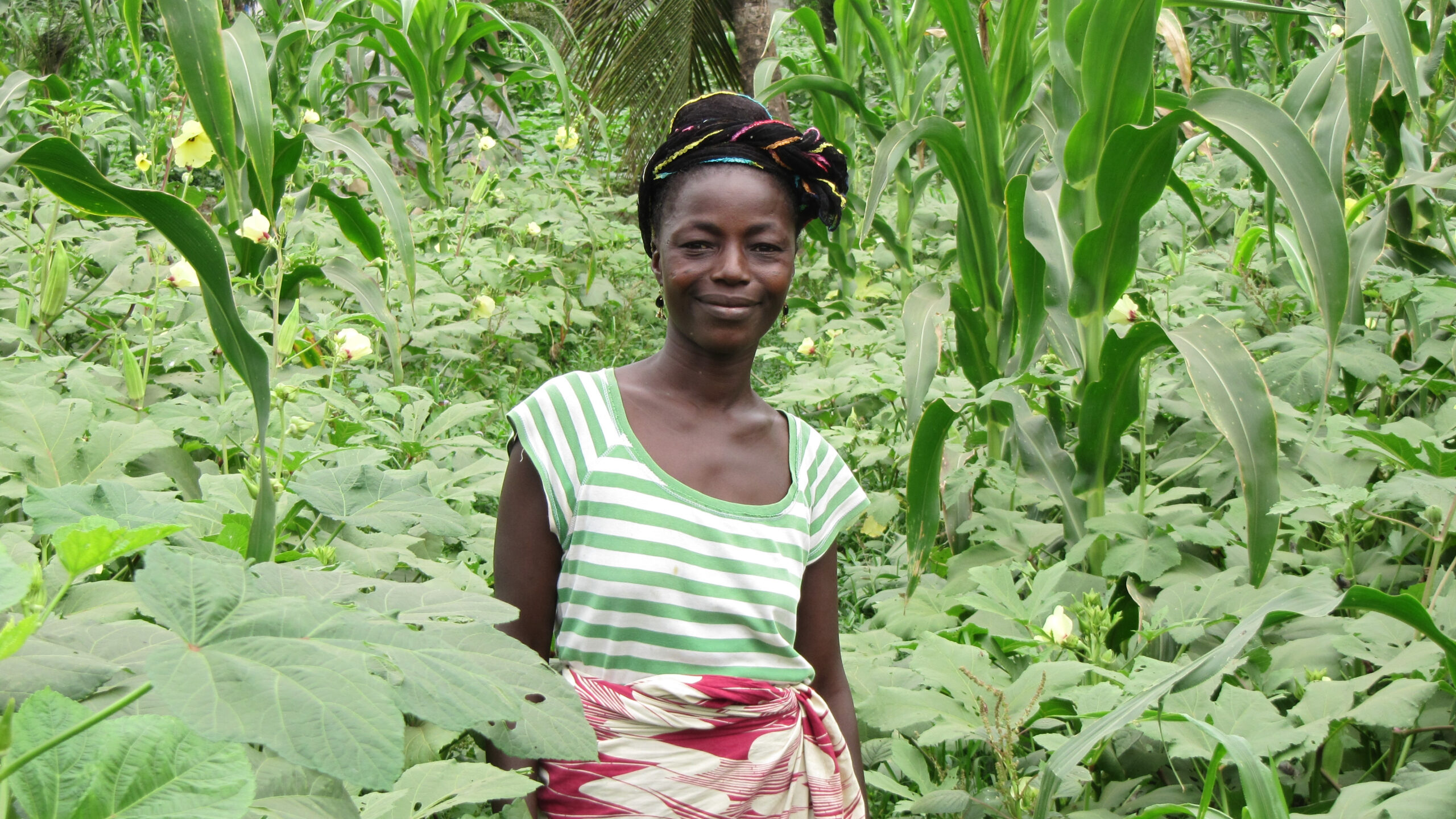 Woman standing in field with maize stalks and other plants in background