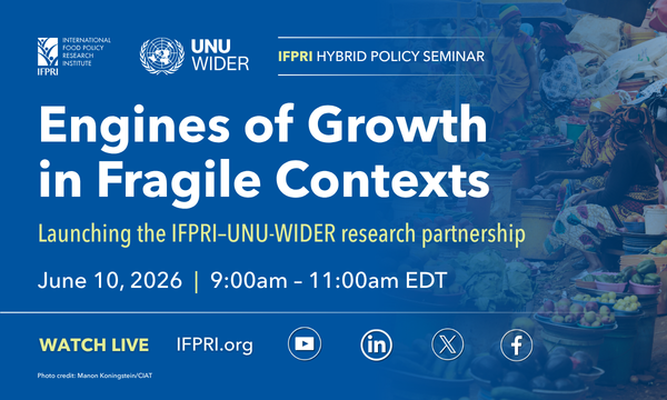 Engines of Growth in Fragile Contexts: Launching an IFPRI–UNU-WIDER research partnership