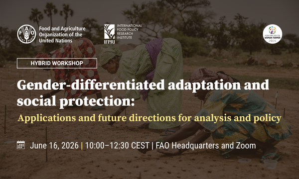 Gender-differentiated adaptation and social protection: Applications and future directions for analysis and policy
