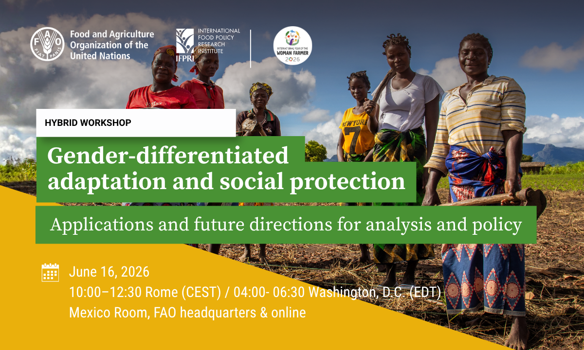 Gender-differentiated adaptation and social protection: Applications and future directions for analysis and policy