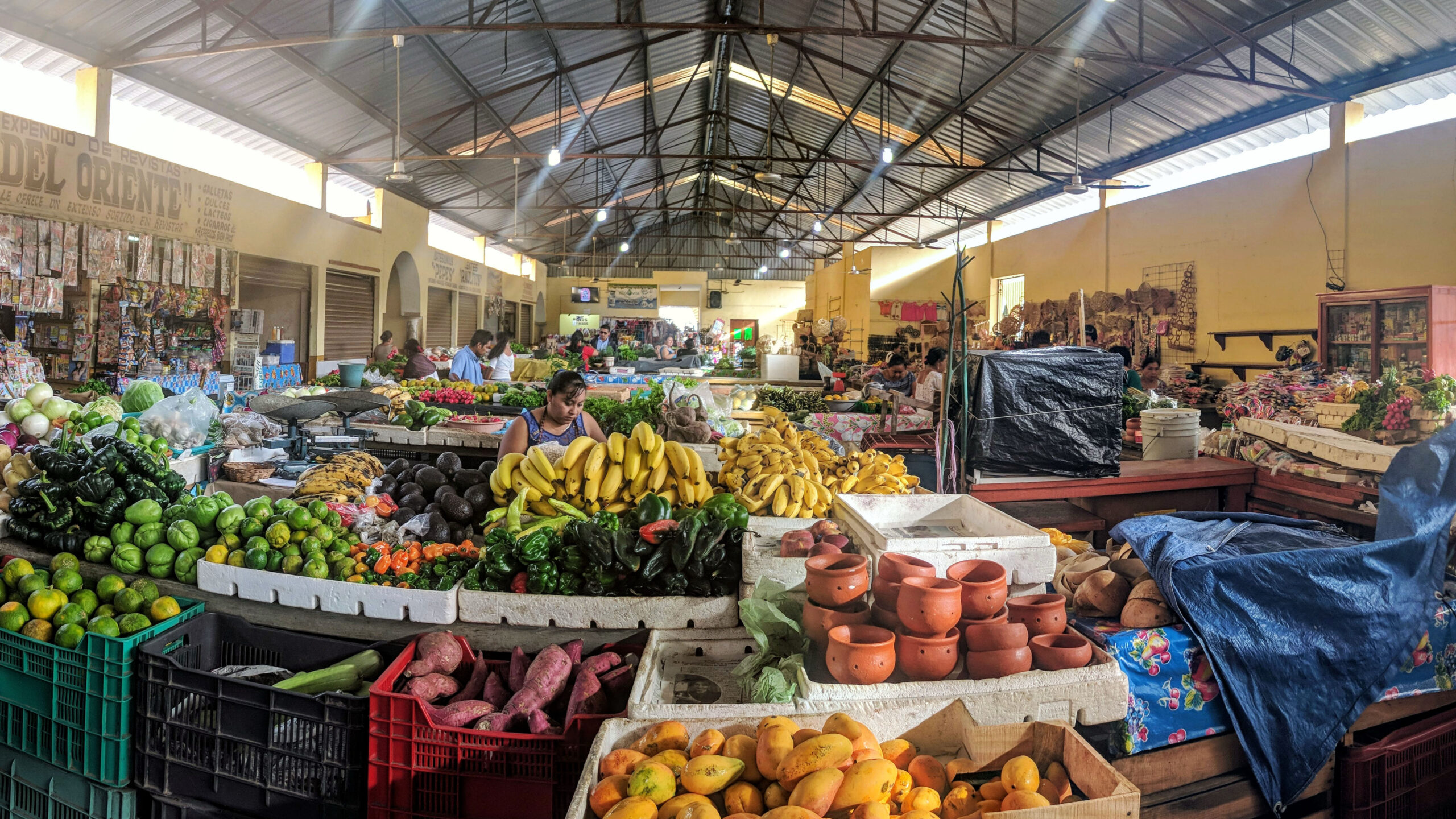 Fisheye view of produce on display, with various vendors, in indoor marketplace.