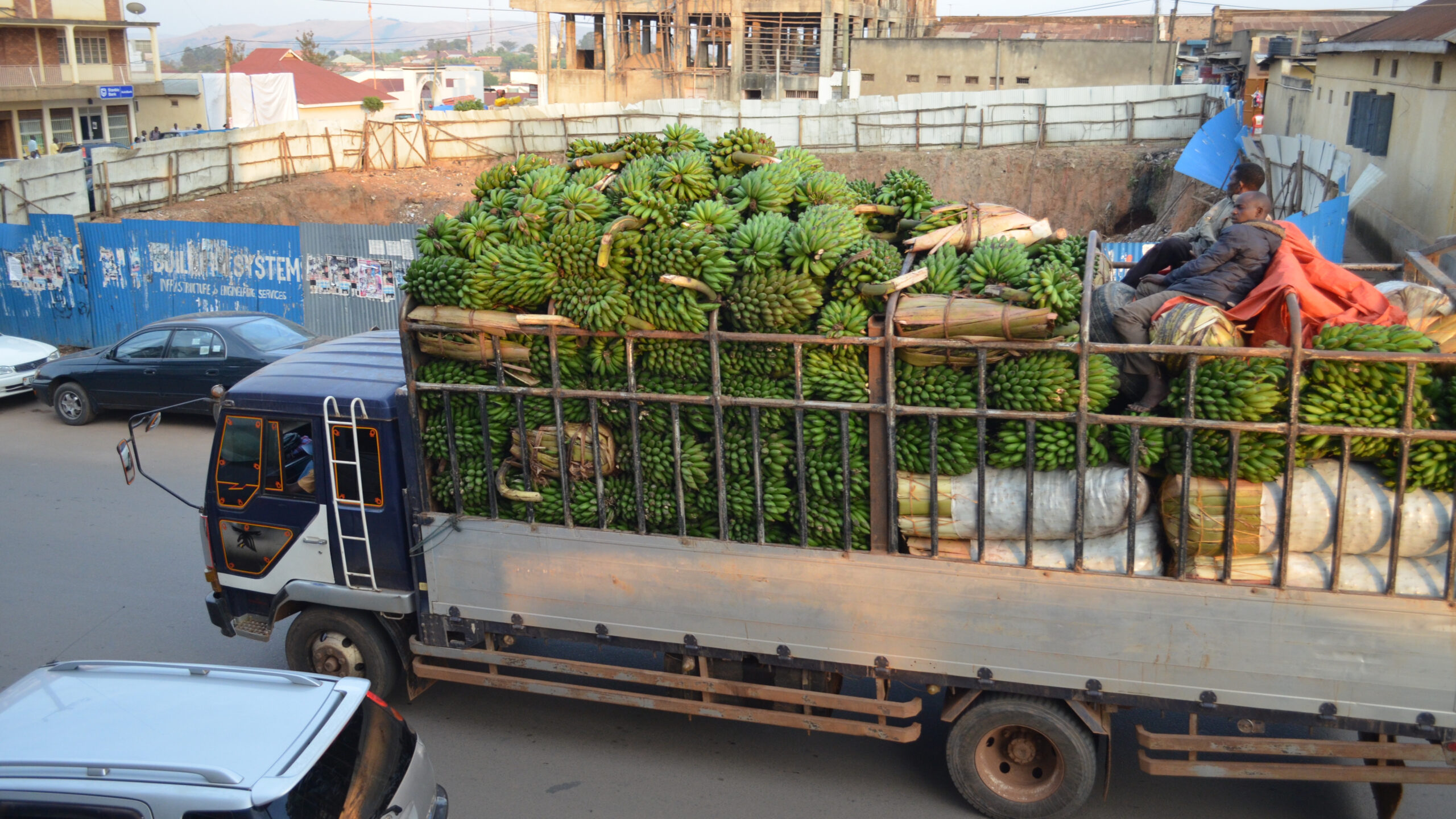 Truck in urban street with bunches of green bananas and two men sitting in rear of truck bed.