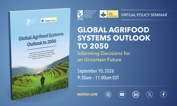 Global Agrifood Systems Outlook to 2050: Informing Decisions for an Uncertain Future
