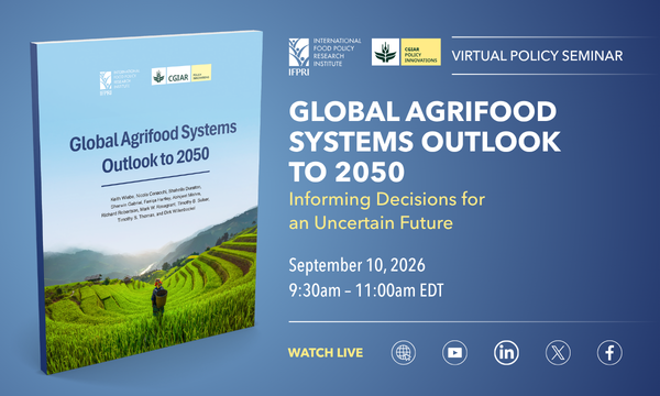 Global Agrifood Systems Outlook to 2050: Informing Decisions for an Uncertain Future