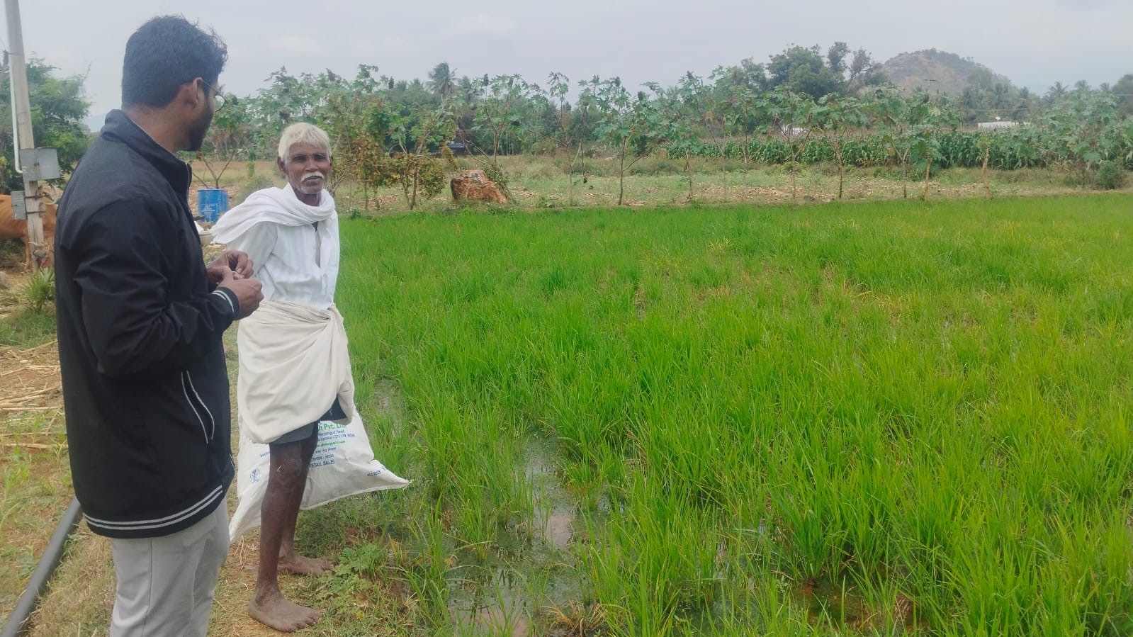 Two men, left, at edge of rice field. Older man in traditional garb.