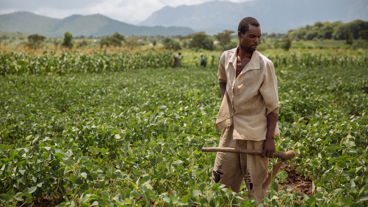 Man holding hoe stands in field.