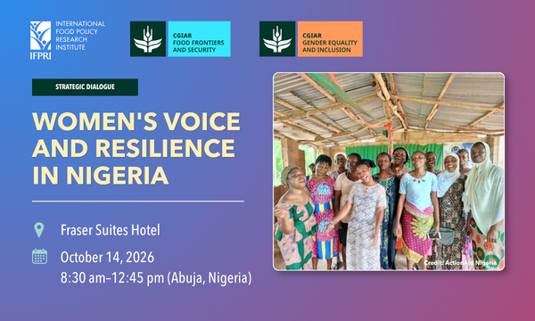Women's Voice and Resilience in Nigeria