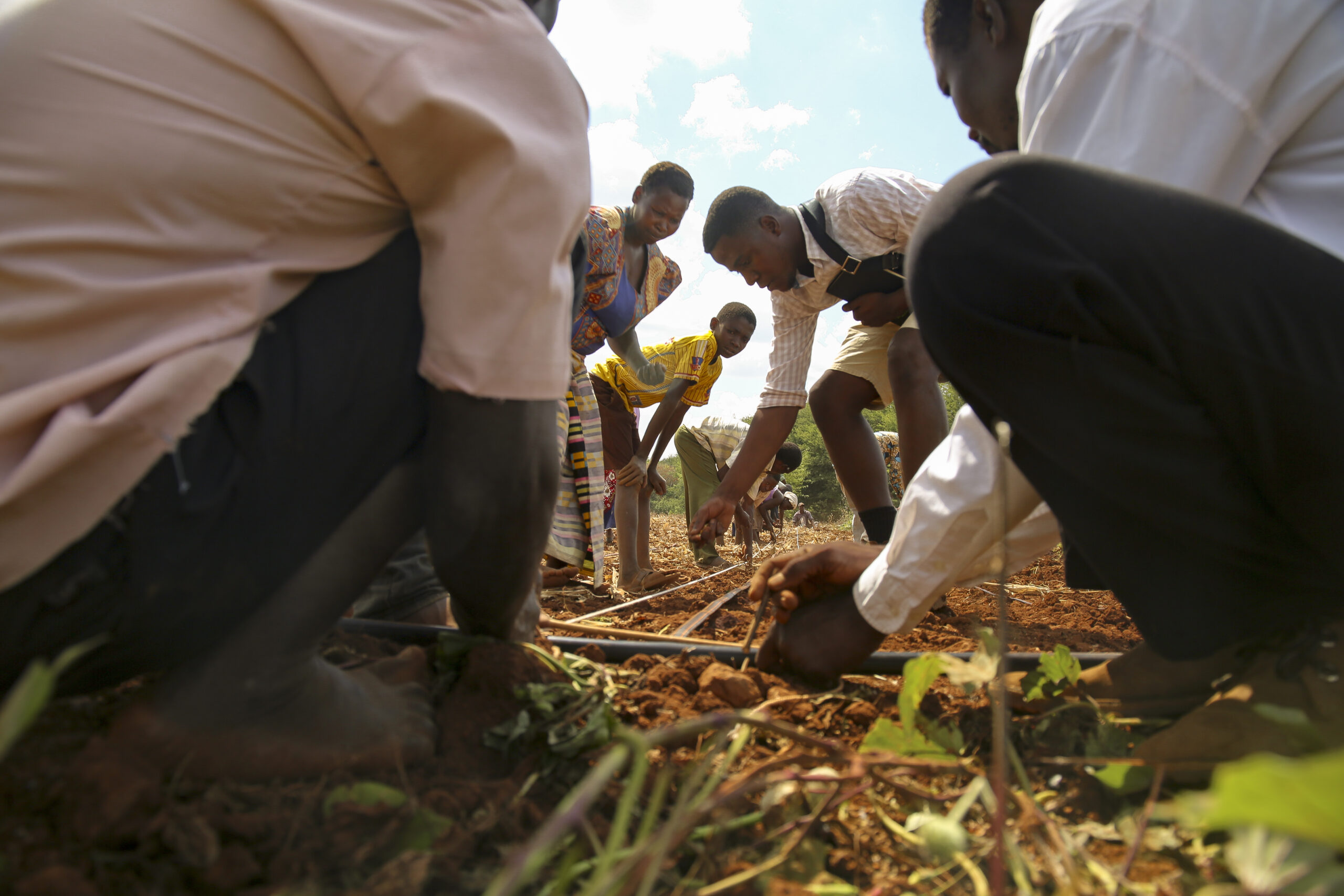 Two men crouch, extreme foreground, framing man, woman, boy, and receding line of people examining soil in field, center.