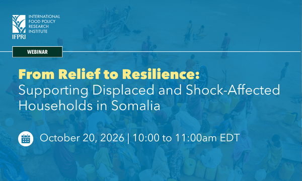 From Relief to Resilience: Supporting Displaced and Shock-Affected Households in Somalia